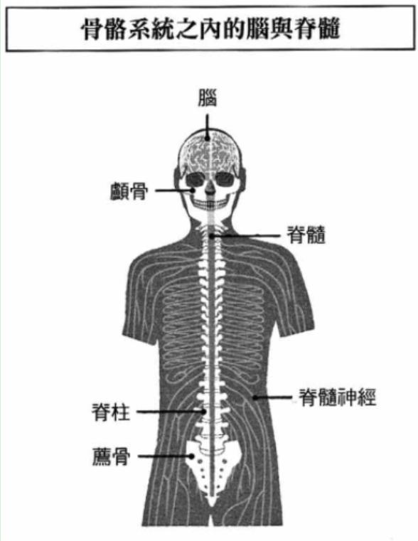 图6