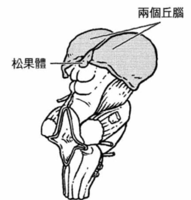 图8