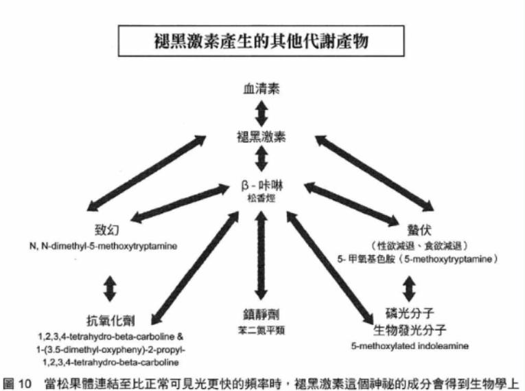 图10