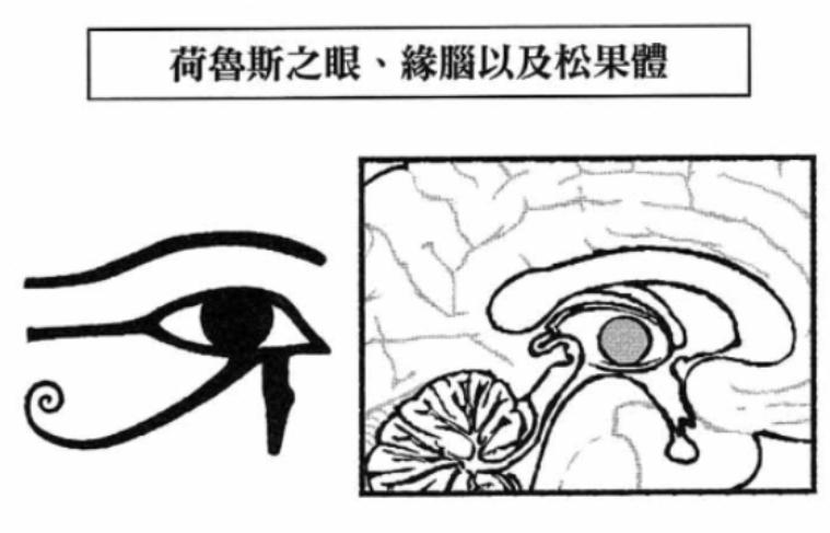 图12A