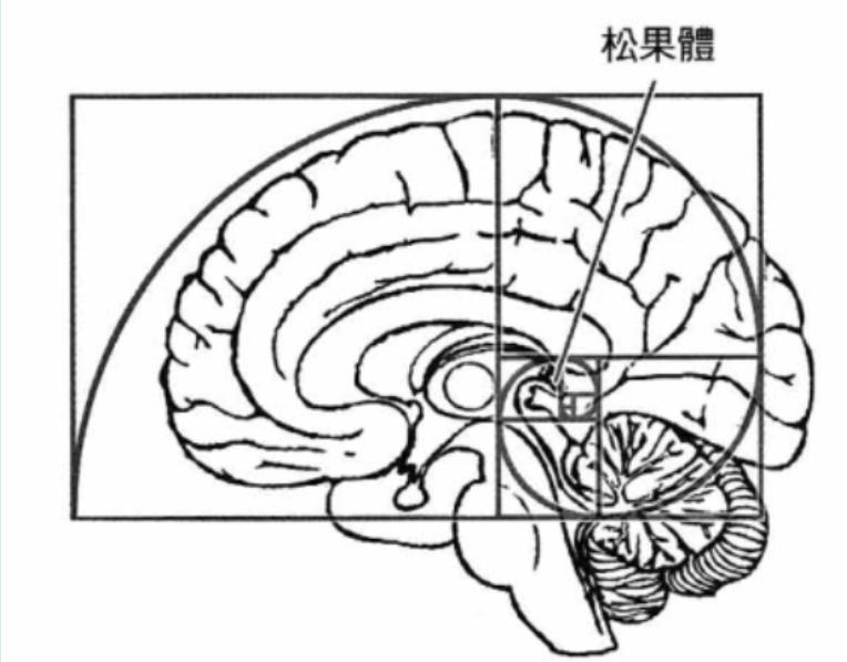 图12