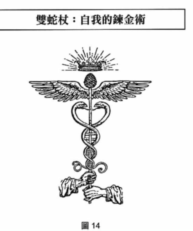 图14